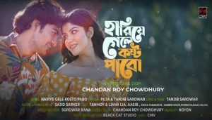 Hariye Gele Kosto Pabo Lyrics (হারিয়ে গেলে কষ্ট পাবো) Tanjib Sarowar | Puja