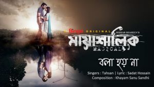 BOLA HOY NA LYRICS (বলা হয় না) Tahsan | Mayashalik